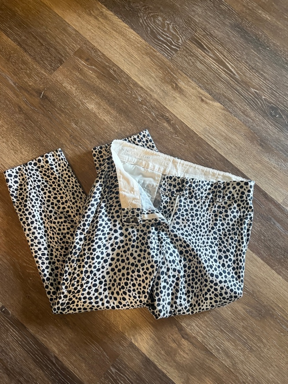 Women navy and White Spotted Pants